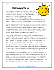 What is Photosynthesis Worksheet