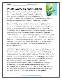 Carbon Worksheet